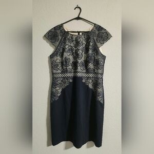 Antonio Melani Women’s Navy Cream Embroidered Floral Lace sheath dress 12